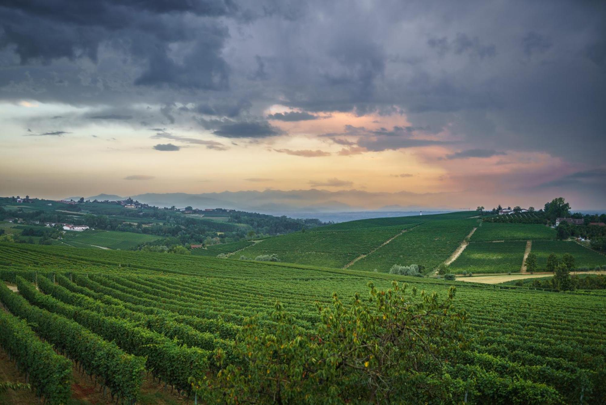 Vineho Apartman Barolo Kültér fotó